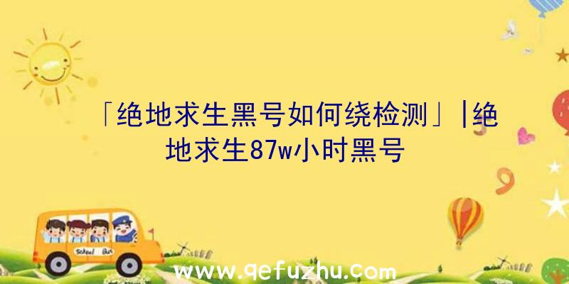 「绝地求生黑号如何绕检测」|绝地求生87w小时黑号